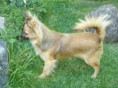 /album/fotogaleria-lili/dsc00250-jpg/